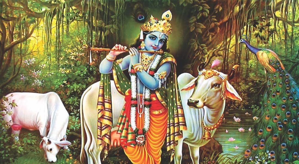 9 Names of Shri Krishna and the Stories Behind Them Shri Krishna  loved deities of Sanatan Dharma